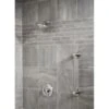 Moen Chrome Lever Shower Handle -Valpar Bathroom Shop 026508249680 16610078 1800x1800
