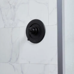 Moen Matte Black Lever Shower Handle