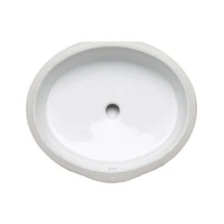 KOHLER Verticyl Oval Vitreous China Undermount Bathroom Sink In White With Overflow Drain