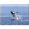 Whale Ceramic Tile Mural Kitchen Backsplash Bathroom Shower 403086-S43 -Valpar Bathroom Shop 363df1ca 2eb9 4cdb 9ab9 567d7a777be7 1.bb7b5afcb4d4871e1dd9253f658c86ed 1800x1800