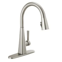 Lenta Single-Handle Pull-Down Sprayer Kitchen Faucet With ShieldSpray Technology SpotShield Stainless