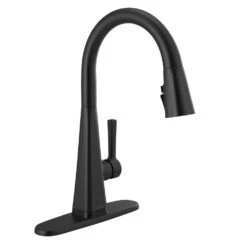 Lenta Single-Handle Pull-Down Sprayer Kitchen Faucet With ShieldSpray Technology SpotShield Stainless -Valpar Bathroom Shop 47002fcf18846142b914bbc25d61c8ce d8777f7b a135 4a52 b6ec 0d5cc950aa0e 1800x1800