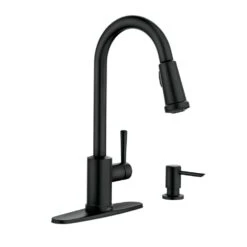 Indi Single-Handle Pull-Down Sprayer Kitchen Faucet With Reflex And Power Clean In Matte Black