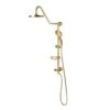 Kauai III 6-Spray Patterns 2.5 GPM 8 In. Wall Mount Dual Shower Heads In Brushed Gold 2 Kauai III 6-Spray Patterns 2.5 GPM 8 In. Wall Mount Dual Shower Heads In Brushed Gold -Valpar Bathroom Shop 699db4313e4096b1dc129e40fb96596d 1800x1800