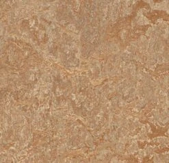 Marmoleum Click CinchLoc Shitake 12 X 12 Squares