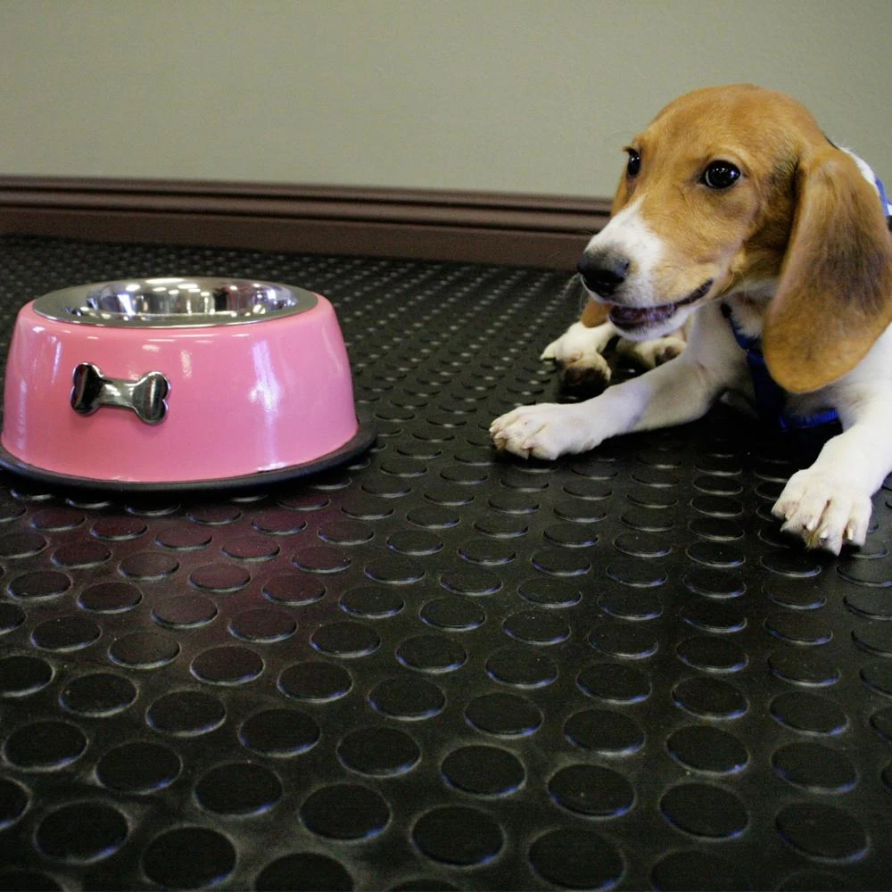 Rubber-Cal Coin Grip 4 Ft. X 20 Ft. Dark Grey Commercial Grade PVC Flooring 8 Rubber-Cal Coin Grip 4 Ft. X 20 Ft. Dark Grey Commercial Grade PVC Flooring - Image 6