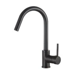 Farnese Single-Handle Standard Kitchen Faucet With Side Sprayer In Oil Rubbed Bronze