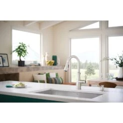 Nellis Single-Handle Pull-Down Sprayer Kitchen Faucet With Reflex And Power Clean In Spot Resist Stainless 19 Nellis Single-Handle Pull-Down Sprayer Kitchen Faucet With Reflex And Power Clean In Spot Resist Stainless -Valpar Bathroom Shop f3e94c9a0eb787ced671188013282ed3 1800x1800